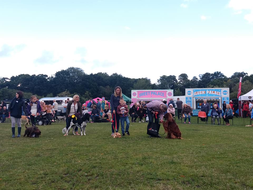 Paws in the Park Bracknell 2019