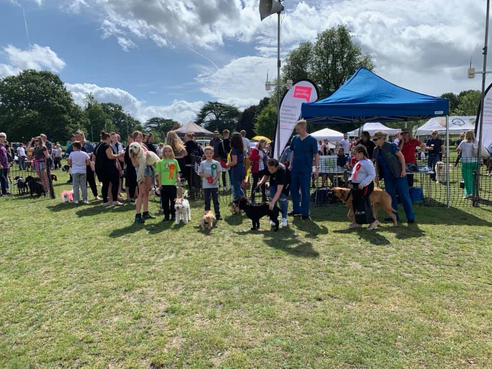 Paws in the Park Bracknell 2019