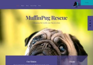 MuffinpugRescue1685954004 - Paws In The Park Bracknell